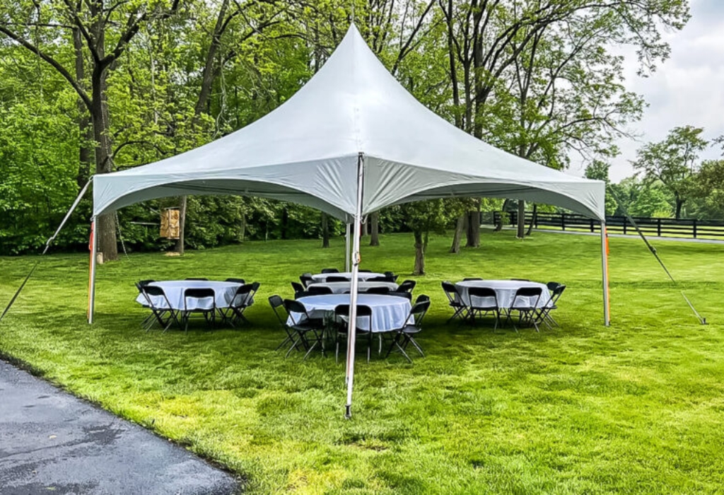 White event tent with round tables and chairs set up on green grass, ideal for outdoor celebrations and gatherings.